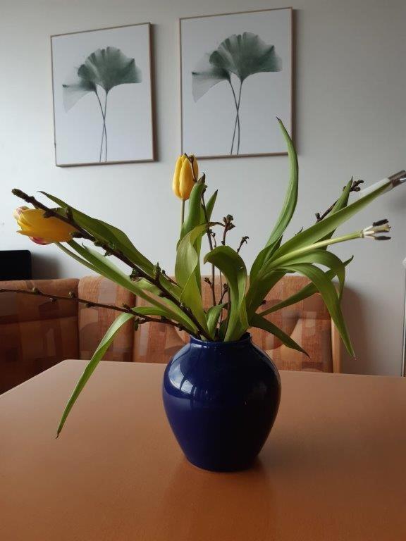 Ferienzentrum Bodensee Oberteuringen Extérieur photo